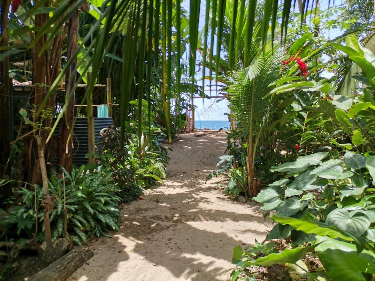 Oasis Beachfront Hostel Limón Exterior foto