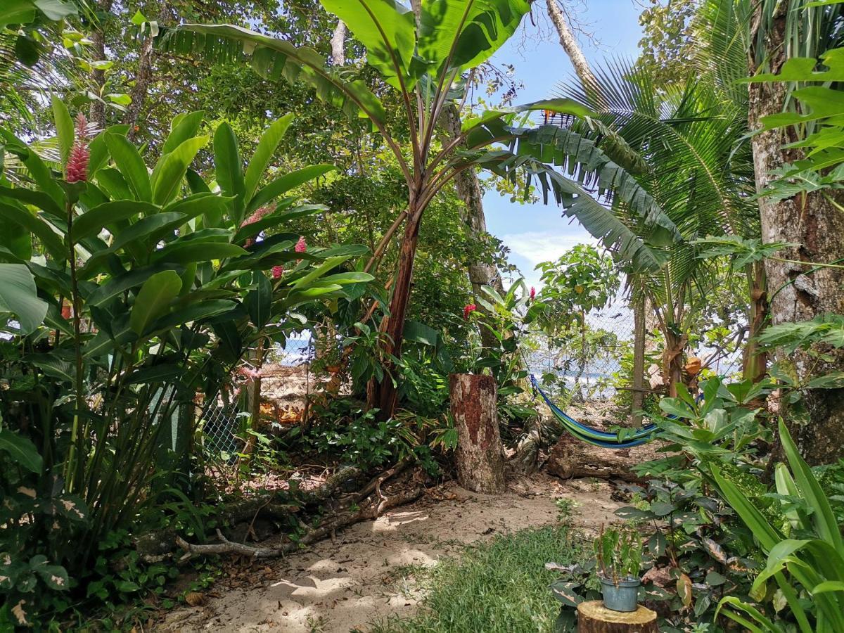 Oasis Beachfront Hostel Limón Exterior foto